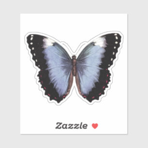 Vintage Butterfly Vinyl Sticker