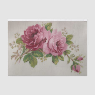 Vintage Cabbage Rose Elegance Tissue Paper