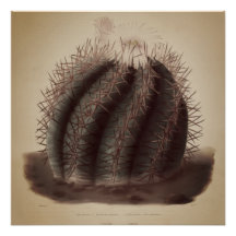 Vintage cactus artwork