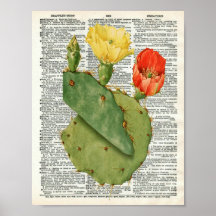 Vintage Cactus Botanical Art on Dictionary Page 11