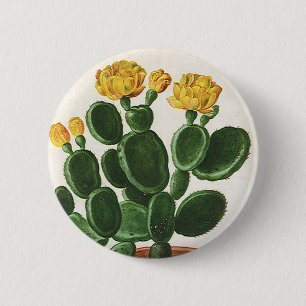 Vintage Cactus Flowers, Succulent Cacti Plants 2 Inch Round Button