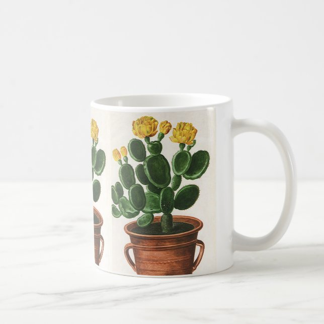 Vintage Cactus Flowers, Succulent Cacti Plants Coffee Mug (Right)