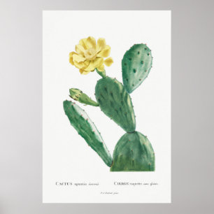 Vintage Cactus Illustration Poster
