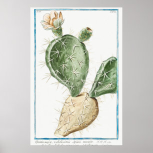 Vintage Cactus Illustration Poster