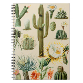Vintage Cactus | Spiral Notebook