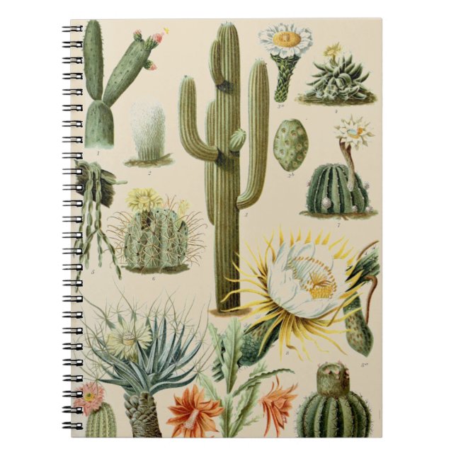 Vintage Cactus | Spiral Notebook (Front)