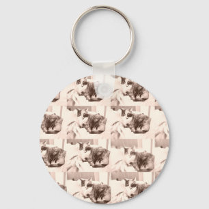 Vintage Calico Cat/Black and White Photography Keychain