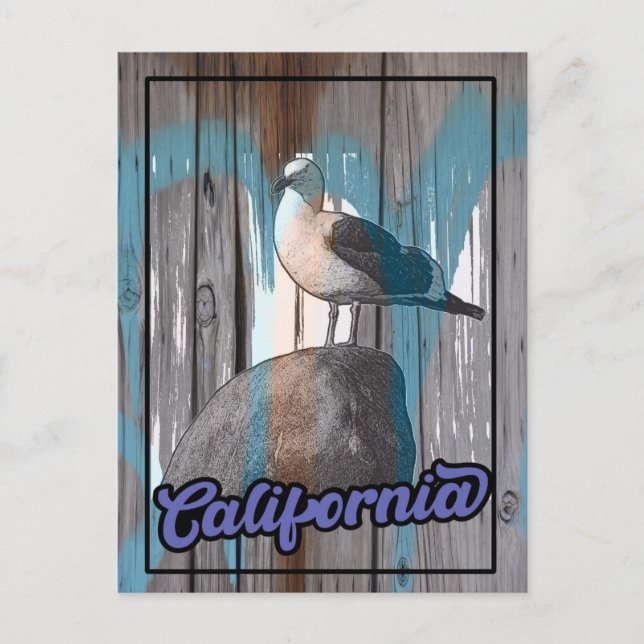 Vintage California Beach Seagull Travel Postcard (Front)