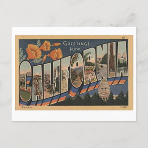 Vintage California Big Letter Postcard