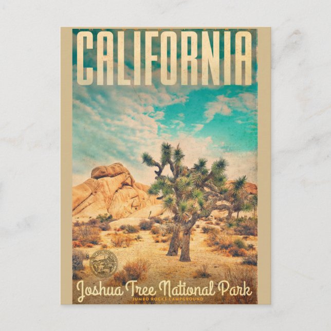 Vintage California Joshua Tree Travel Postcards (Front)