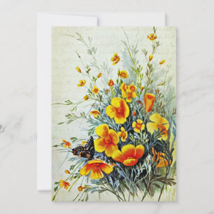 Vintage California Poppy Wildflowers  Holiday Card