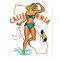 Vintage California Poster