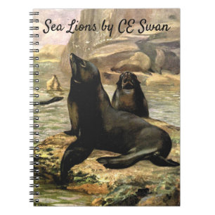 Vintage California Sea Lions by CE Swan Notebook