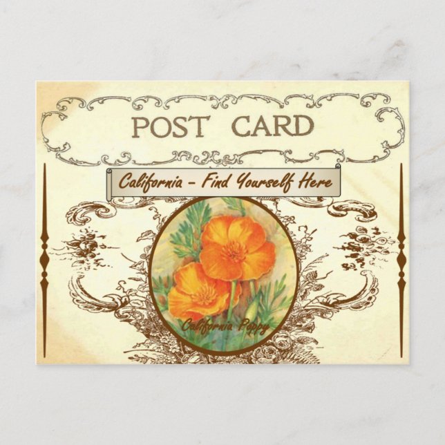 Vintage California State Flower Postcard (Front)