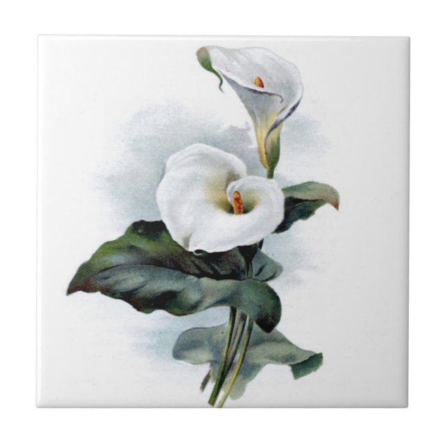 Vintage calla lily tile (Front)