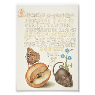 vintage calligraphy prints mouse and pear