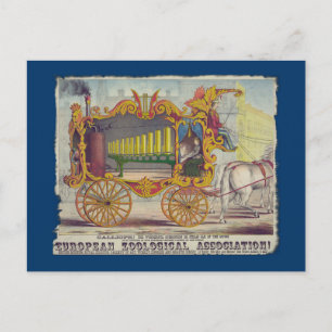 Vintage Calliope Artwork on Apparel and Gifts Postcard
