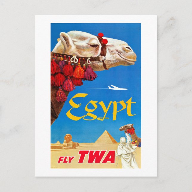 Vintage Camel and Pyramids Postcard (Front)