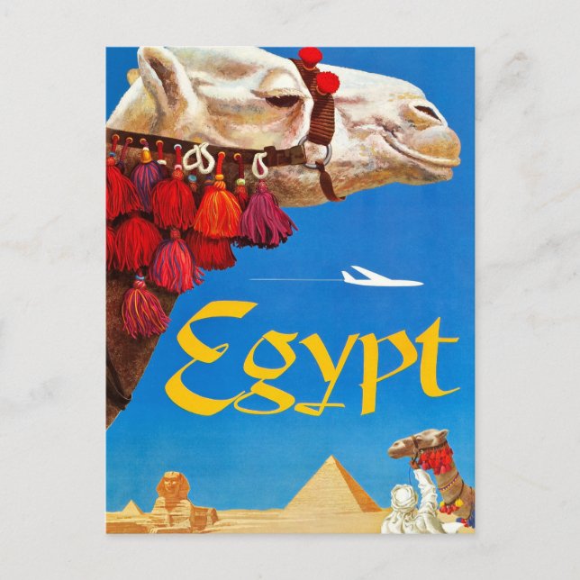 Vintage Camel and Pyramids Postcard (Front)