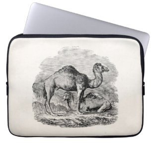 Vintage Camel Dromedary Personalized Illustration Laptop Sleeve