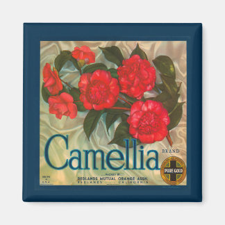 Vintage Camellia Brand Magnet