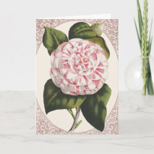 Vintage Camellia Elegant Merci