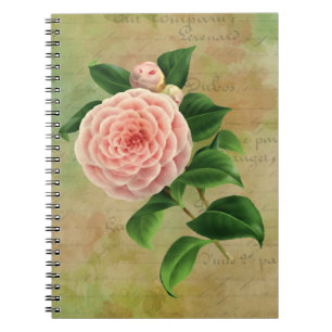 Vintage Camellia French Botanical Notebook