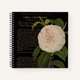 Vintage Camellia Virginia Franco Black Notebook