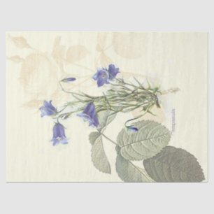 Vintage Campanula Tissue Paper