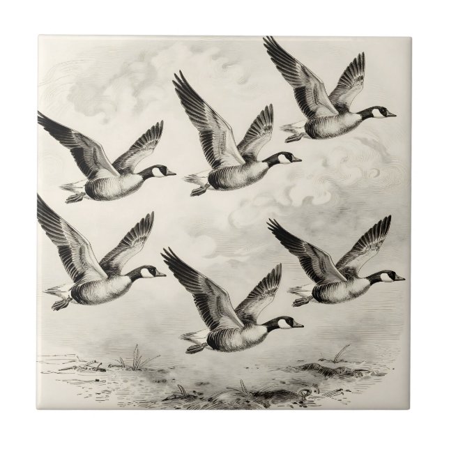 Vintage Canada Geese in Flight Engraving Tile (Front)