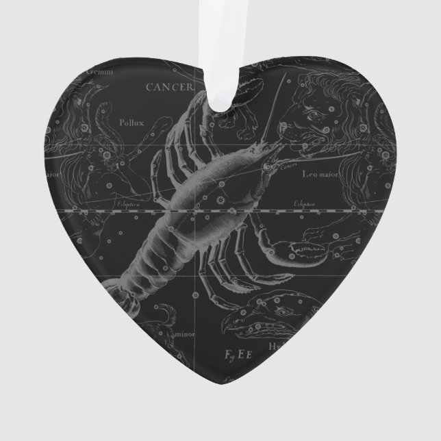 Vintage Cancer Constellation Map Hevelius 1690 (dos)