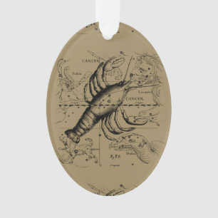 Vintage Cancer Constellation Map Hevelius 1690