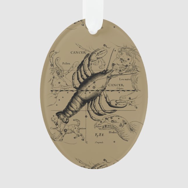 Vintage Cancer Constellation Map Hevelius 1690 (devant)
