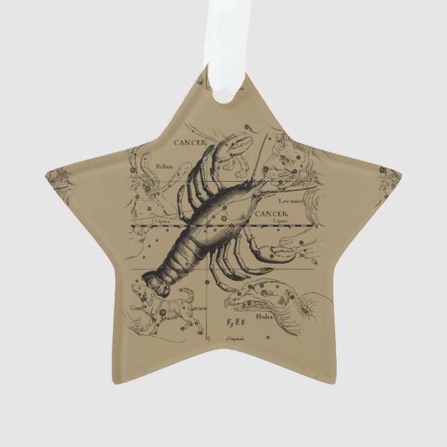 Vintage Cancer Constellation Map Hevelius 1690 Ornament (Back)