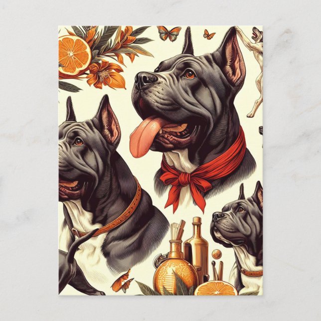 Vintage Cane Corso Illustration Postcard (Front)