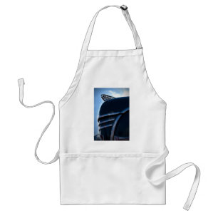 Vintage car hood ornament standard apron
