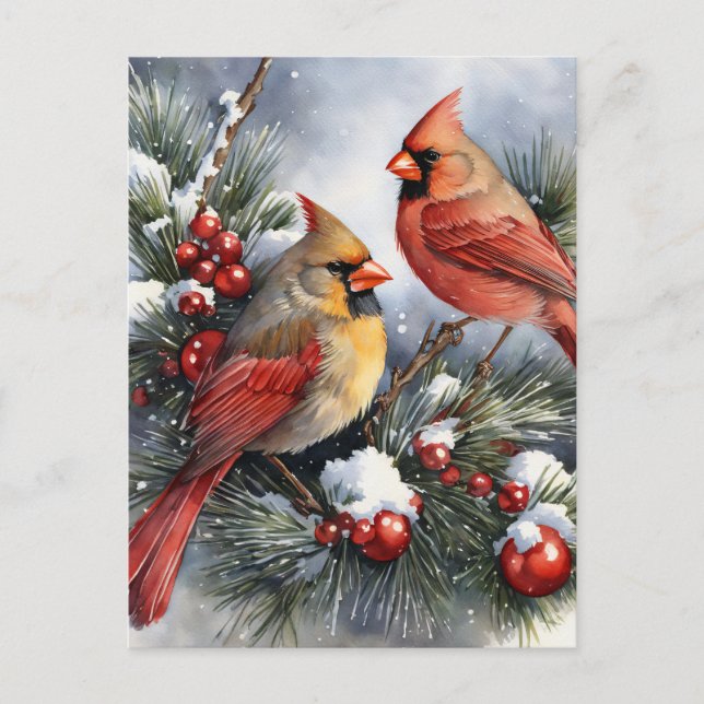 Vintage Cardinal Birds Christmas Family Photo Postcard (Front)