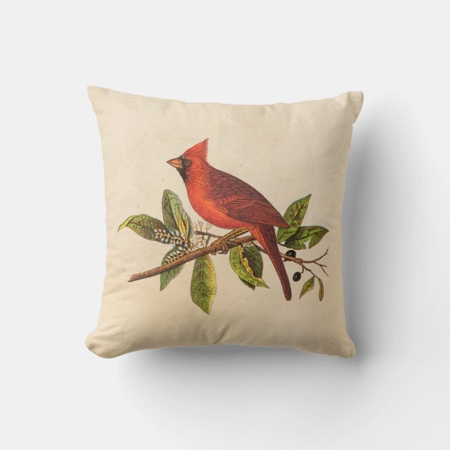 Vintage Cardinal Song Bird Illustration - 1800's Throw Pillow (Front)