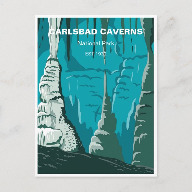 Vintage Carlsbad Caverns New mexico National Park Postcard (Front)