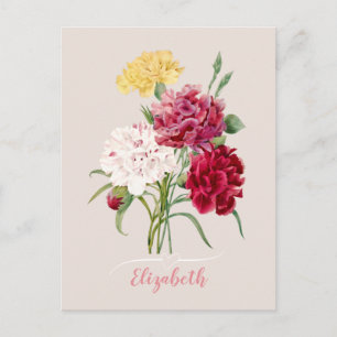 Vintage Carnation Flowers Print  Postcard