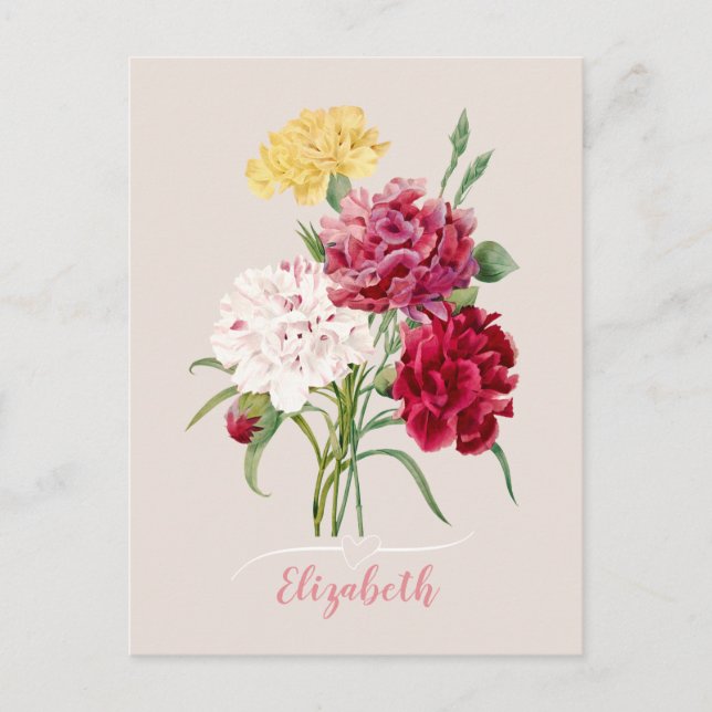 Vintage Carnation Flowers Print  Postcard (Front)
