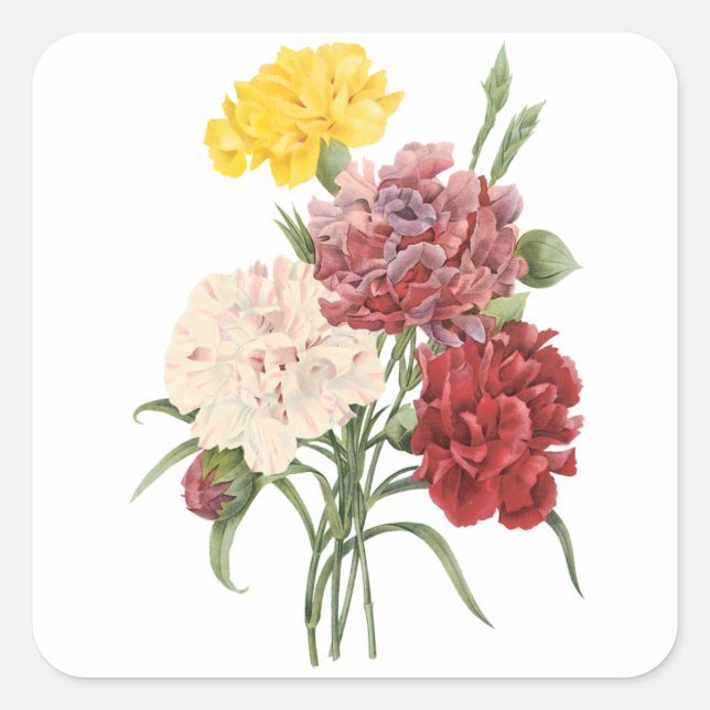 Vintage Carnations Dianthus Garden Flowers Redoute Square Sticker (Front)