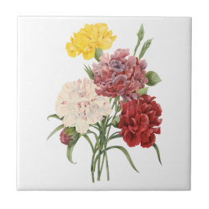 Vintage Carnations Dianthus Garden Flowers Redoute Tile