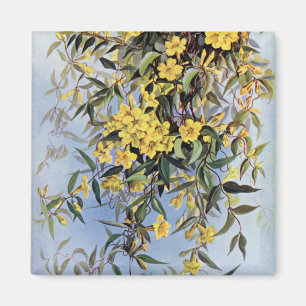 Vintage Carolina Jessamine Yellow Flowers Floral Magnet