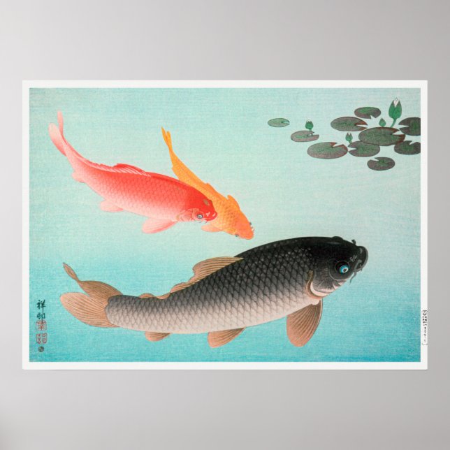 Vintage Carp Illustration Poster (Front)