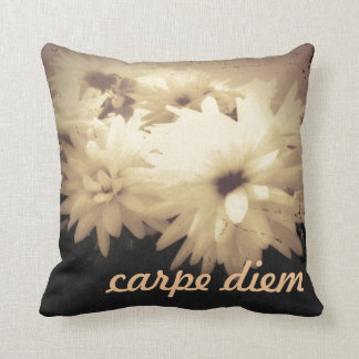 Vintage Carpe Diem Pillow