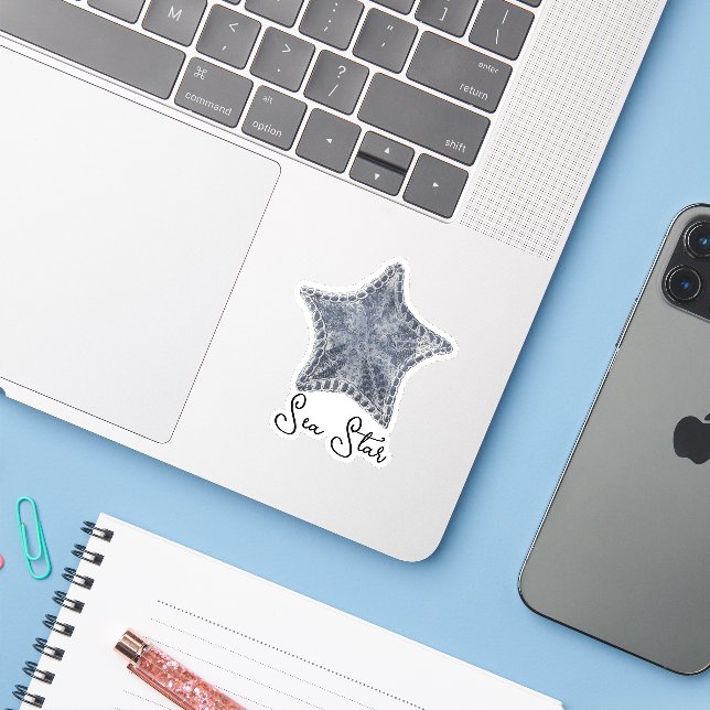 Vintage carved blue asterias starfish  (Laptop w/ iPhone)