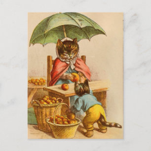 Vintage Cat at a Fruit Stand Postcard