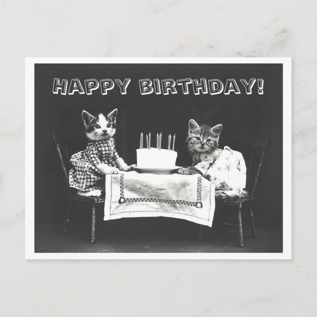 Vintage Cat Birthday Cake Oddity Postcard (Front)