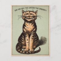 Vintage Cat Canary